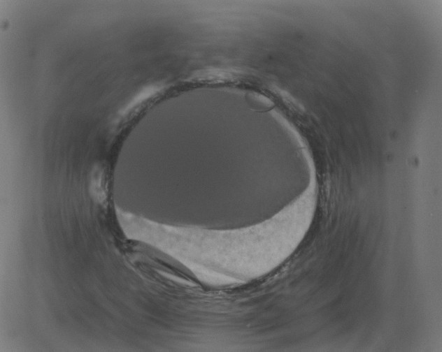 X0000081491206200702100021