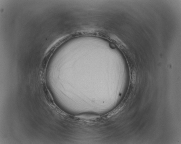 X0000081491208200702100021