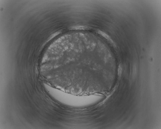 X0000081491209200702100021