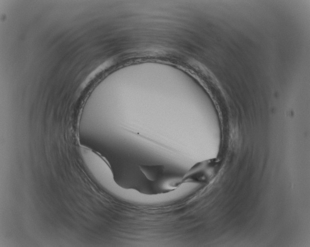 X0000081491210200702100021