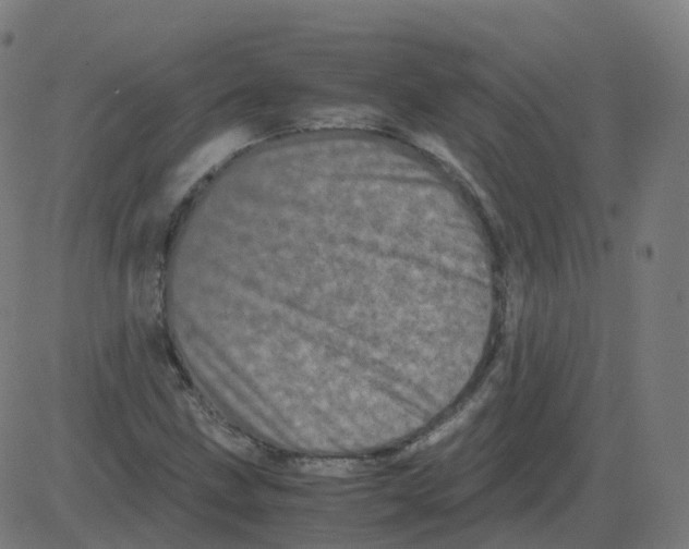 X0000081491211200702100021