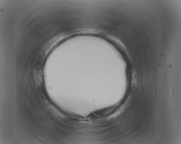 X0000081491212200702100021