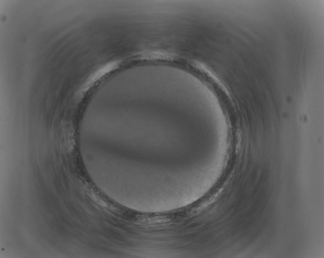 X0000081491213200702100021