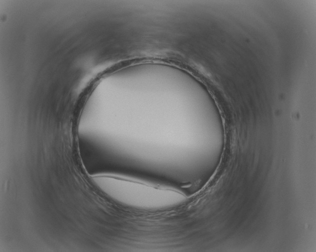 X0000081491214200702100021