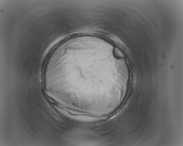 X0000081491216200702100021