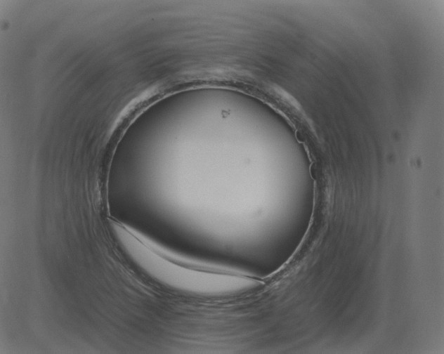 X0000081491218200702100022