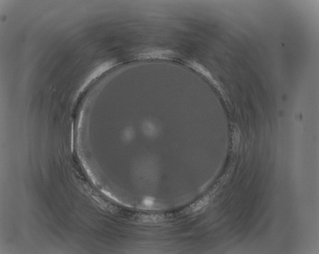 X0000081491219200702100022