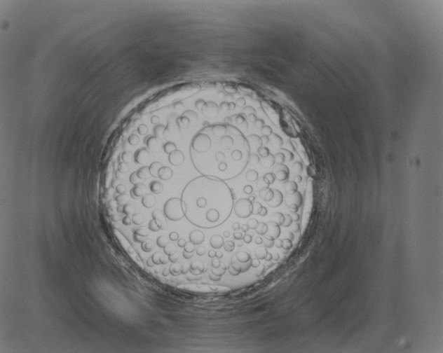 X0000081491220200702100022