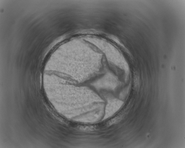 X0000081491221200702100022