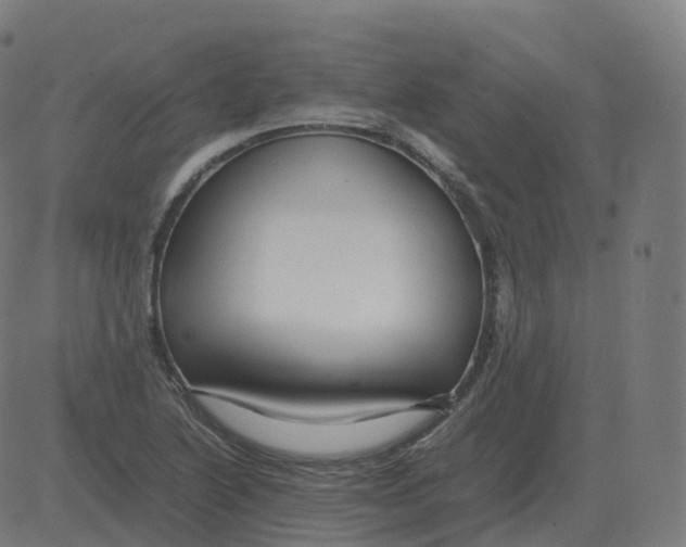 X0000081491222200702100022