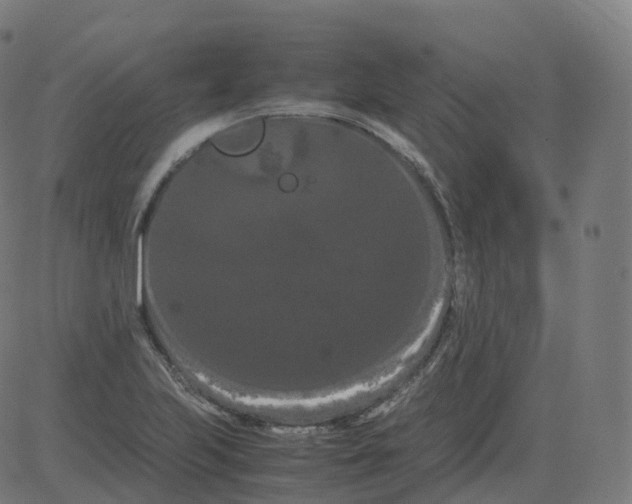 X0000081491223200702100022