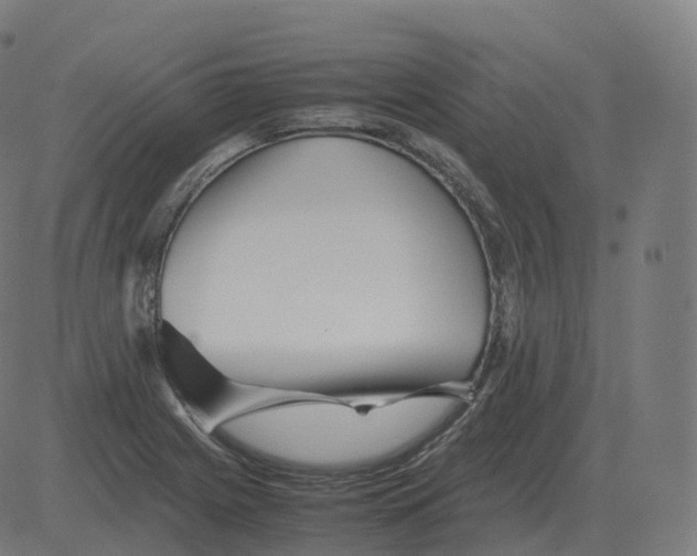 X0000081491225200702100022