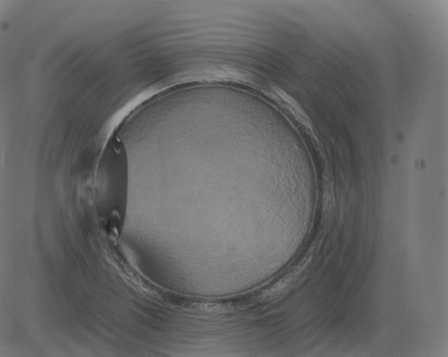 X0000081491226200702100022