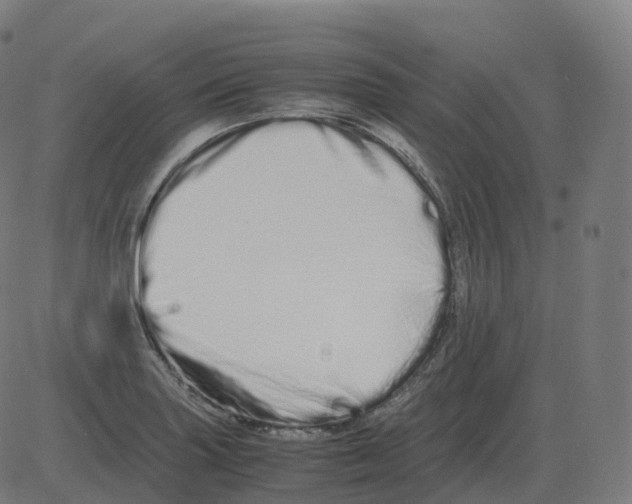 X0000081491227200702100022