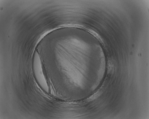 X0000081491228200702100022