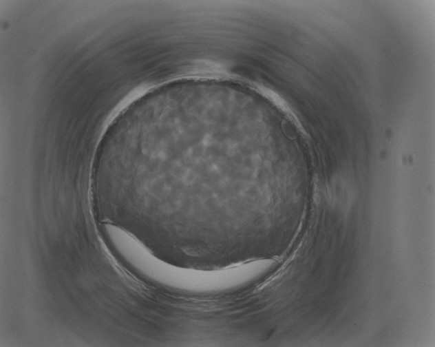 X0000081491229200702100022