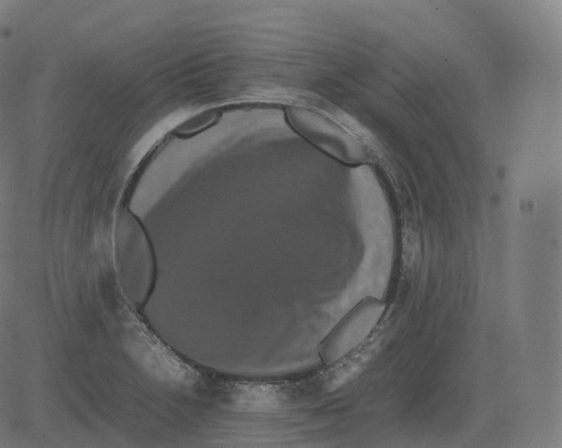 X0000081491230200702100022