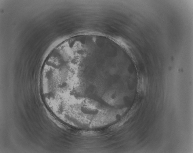 X0000081491231200702100022