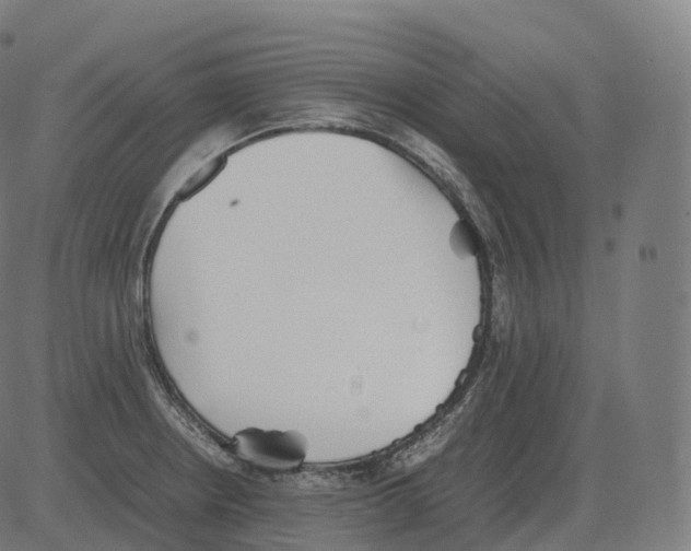 X0000081491234200702100022