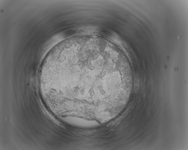 X0000081491235200702100022