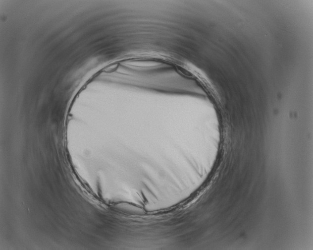 X0000081491236200702100022