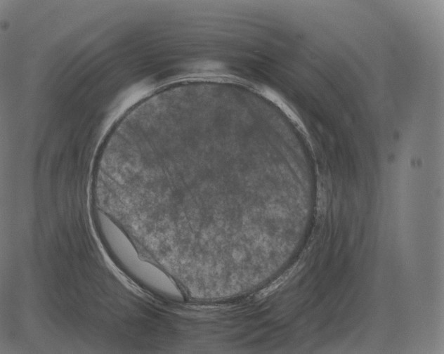 X0000081491237200702100022