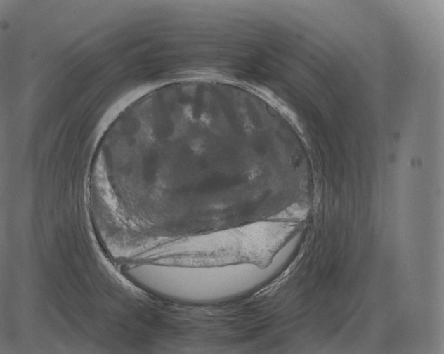 X0000081491239200702100022