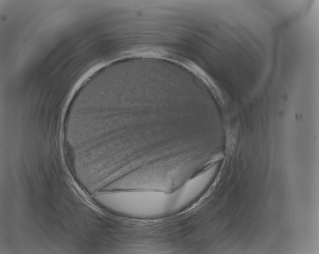 X0000081491240200702100022