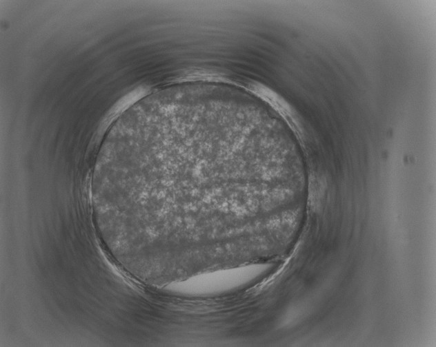 X0000081491241200702100022