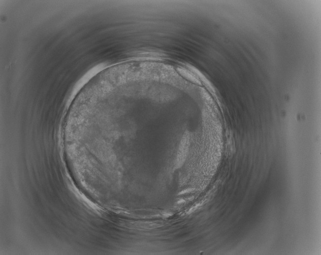 X0000081491243200702100022