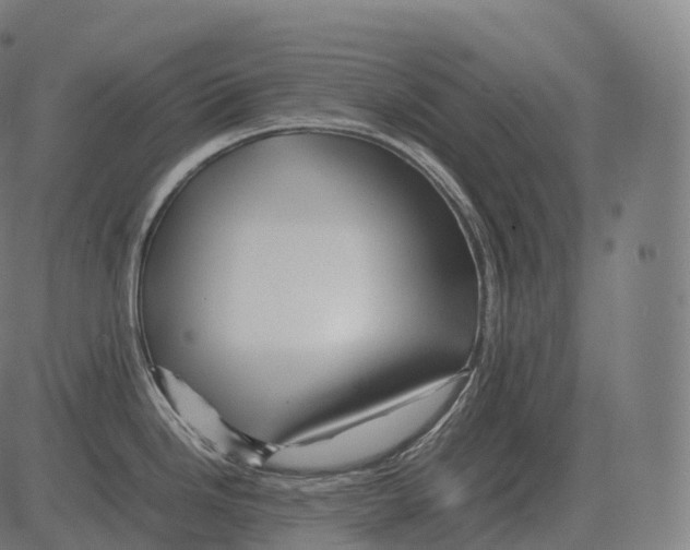 X0000081491246200702100022