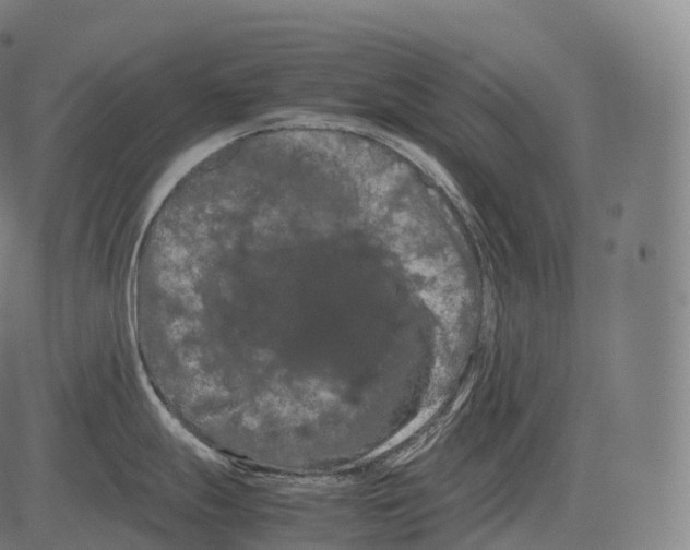 X0000081491247200702100022