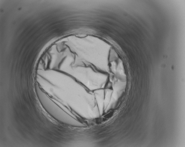 X0000081491248200702100022