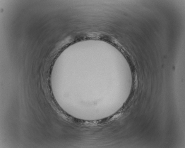 X0000081491249200702100021