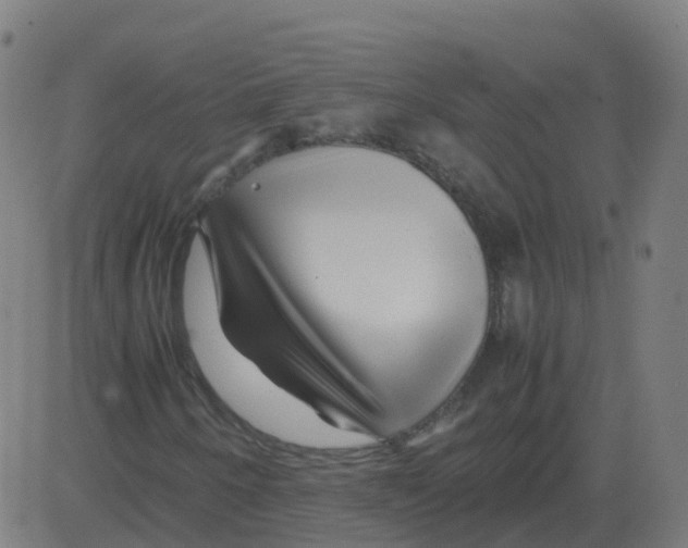 X0000081491250200702100021