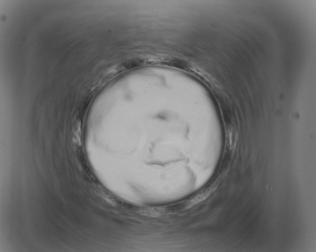 X0000081491251200702100021