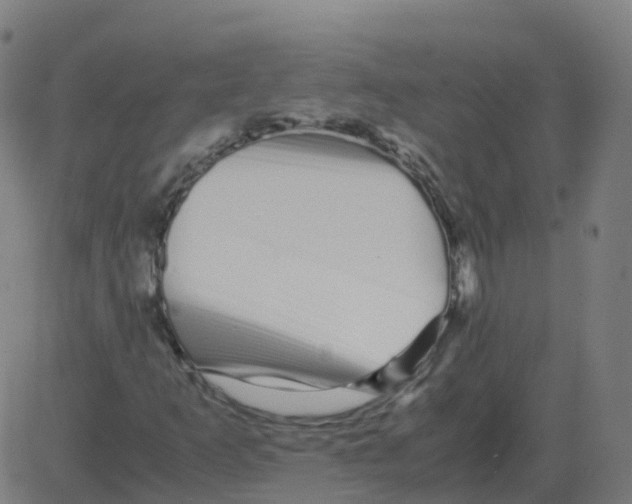 X0000081491253200702100021