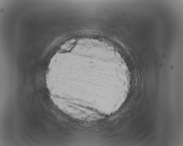 X0000081491255200702100021