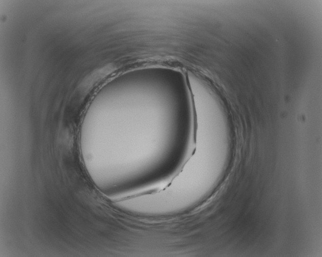 X0000081491257200702100021