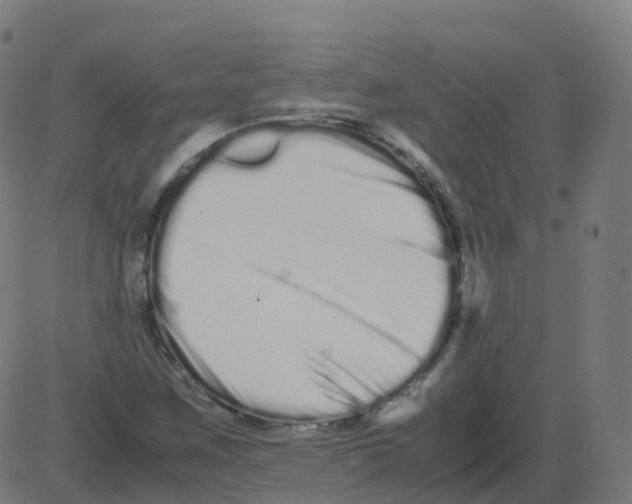 X0000081491259200702100021