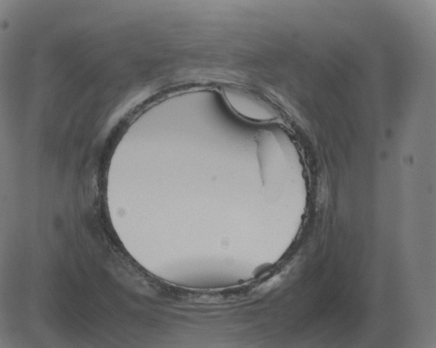 X0000081491261200702100021