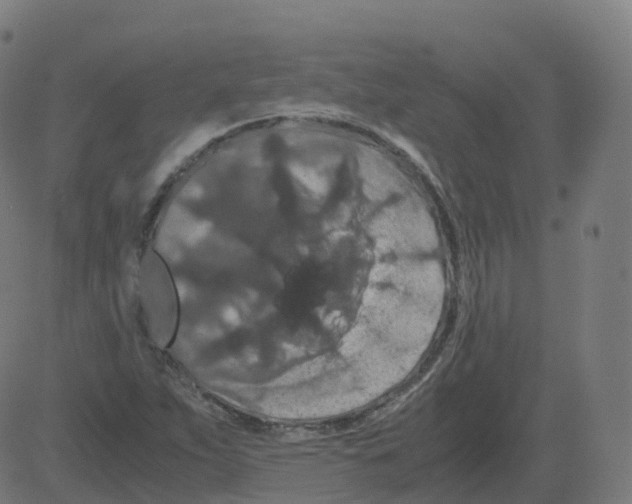 X0000081491263200702100021