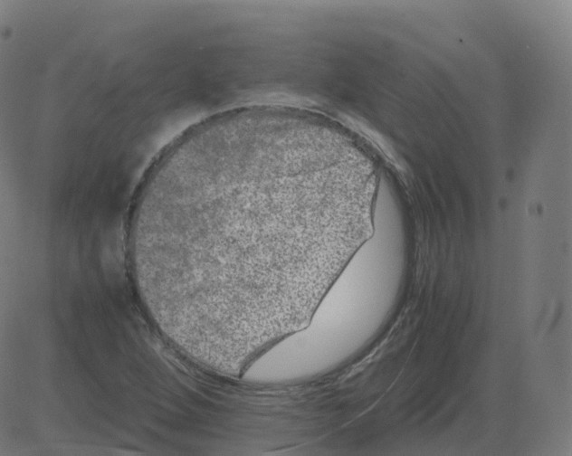 X0000081491264200702100021