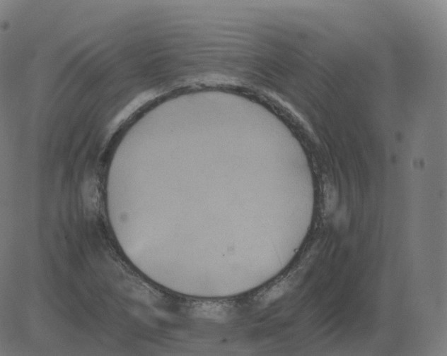 X0000081491266200702100021