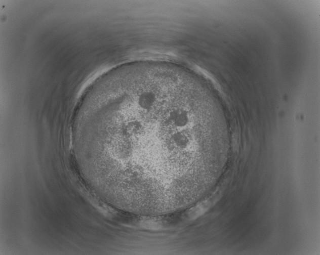 X0000081491267200702100021