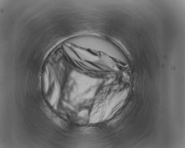 X0000081491268200702100021