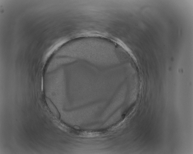 X0000081491269200702100021