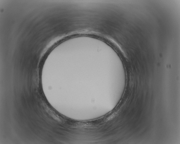 X0000081491270200702100021