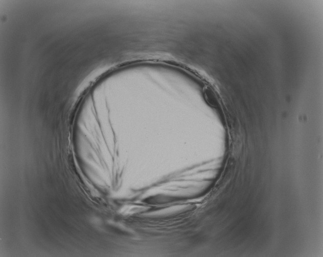 X0000081491271200702100021