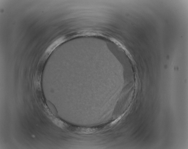 X0000081491273200702100021